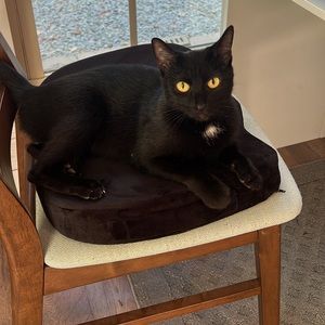 Meet your Posher, Jennifer